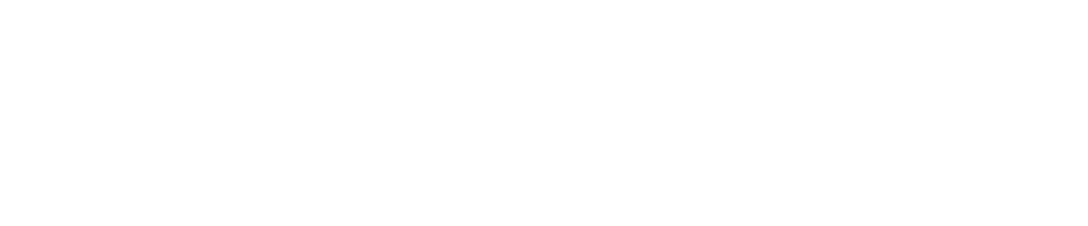 Project Guardian